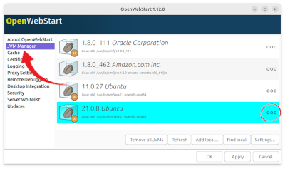Configure Open Web Start